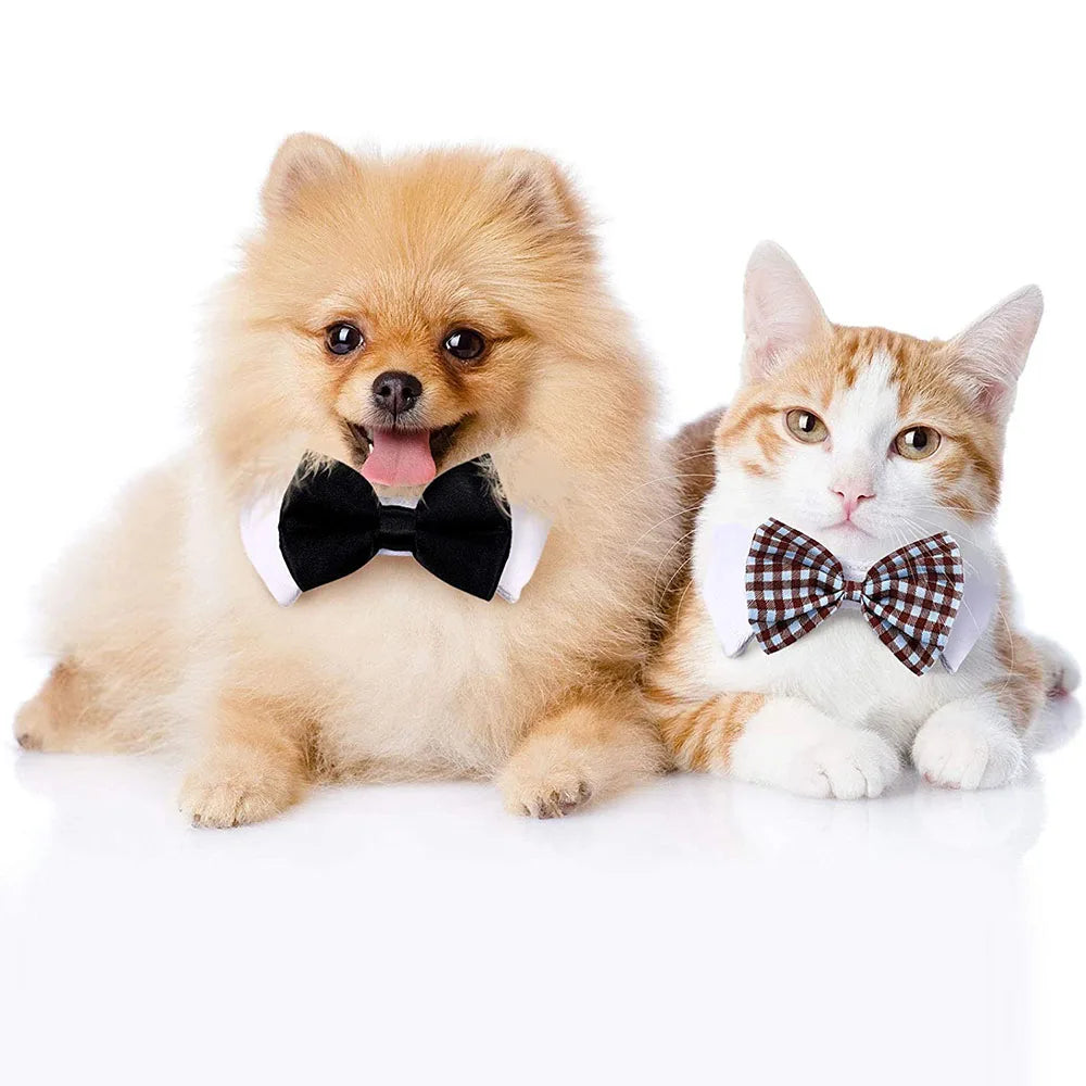 Adjustable Dog Cat Bowtie Formal Pet Bow Tie Collar Wedding Neck Tie fSPECIFICATIONSBrand Name: NoEnName_NullItem Type: Tie &amp; Bow TieOrigin: Mainland ChinaCN: ZhejiangMaterial: 100% CottonSet Type: noType: catsS size: neck 25-30cmLShopDoggieworksShopDoggieworksAdjustable Dog Cat Bowtie Formal Pet Bow Tie Collar Wedding Neck Tie