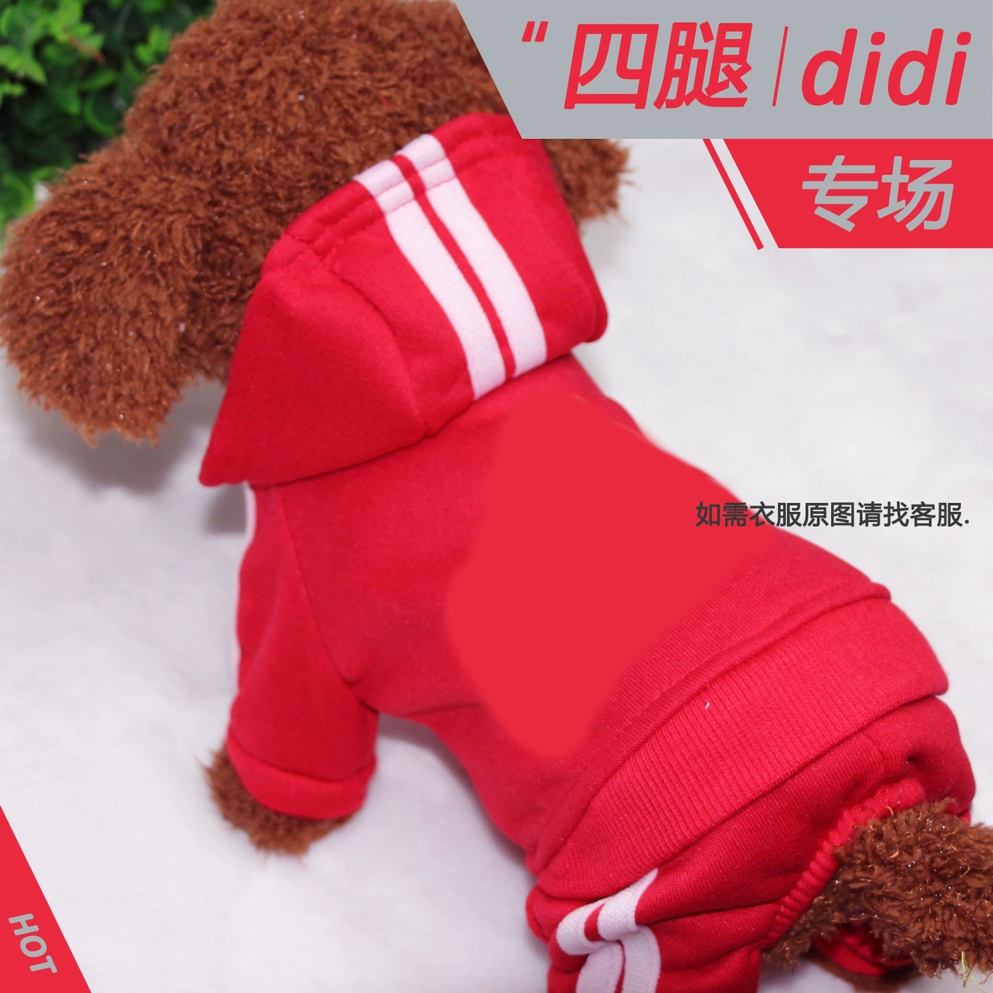 Teddy Pet Costume Small Dog Cotton-Padded Clothes for Autumn and Winter Totoro