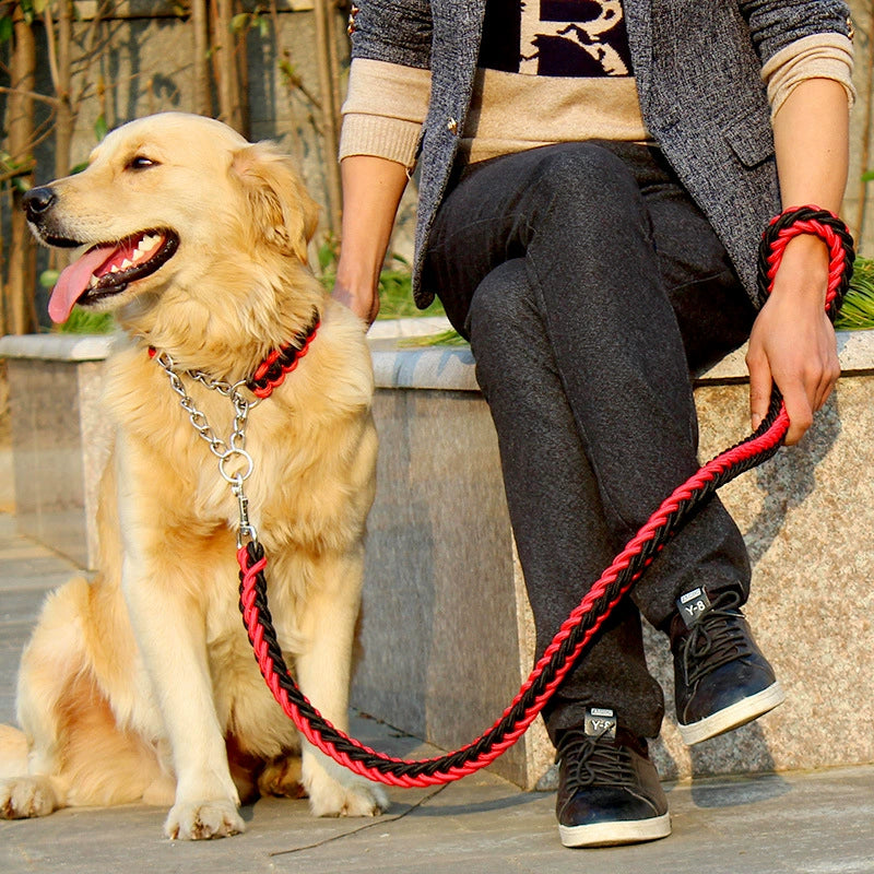 Big Dog Stereotyped Rope P Chain Suit Automatic Retractable Collar Medium Large Dog Golden Retriever Dog Walking Chain Traction Belt Explosion-Proof