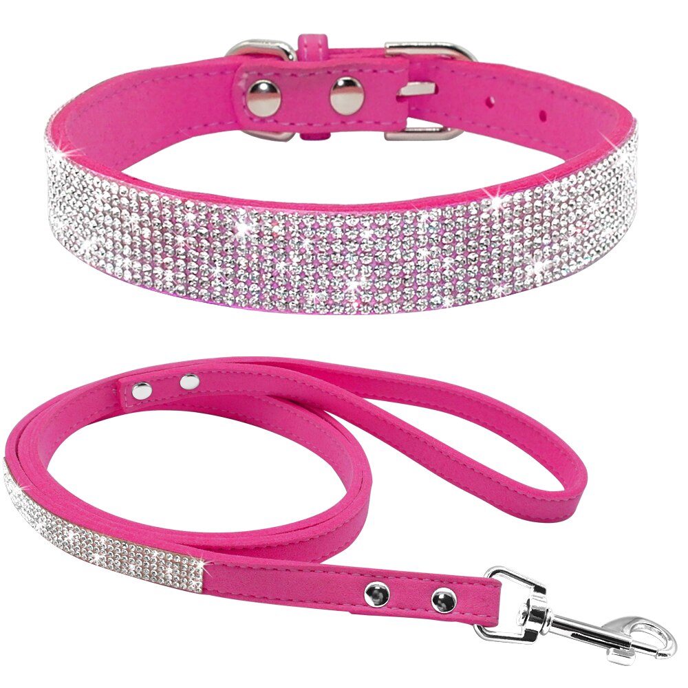 Dog Collars and Leashes
Dog Training Collars And Leashes
What are the best dog collars and leashes?




The best collar and leash for your dog will depend on a number of factors, includingShopDoggieworksShopDoggieworksDog Collars