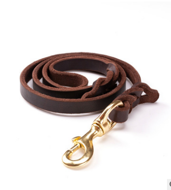 Leather Dog Leashes 