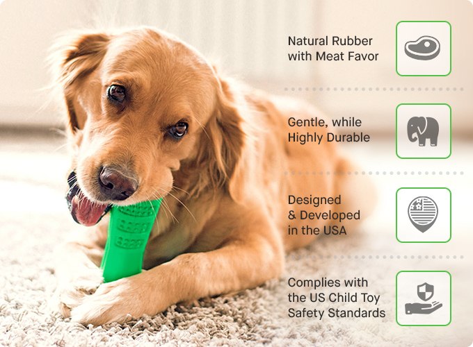 Toothbrushes For Dogs | Silicone Pet ToothbrushThat is a Toothbrushes For Dogs? 

You have probably seen this green tool around and wondered: does this work? Well, I wondered the same and just had to try out the Silicone Pet ToothbrushShopDoggieworksShopDoggieworksSilicone Pet Toothbrush