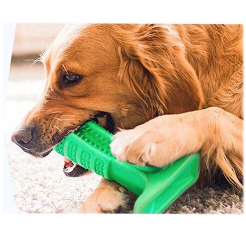 Toothbrushes For Dogs | Silicone Pet ToothbrushThat is a Toothbrushes For Dogs? 

You have probably seen this green tool around and wondered: does this work? Well, I wondered the same and just had to try out the Silicone Pet ToothbrushShopDoggieworksShopDoggieworksSilicone Pet Toothbrush