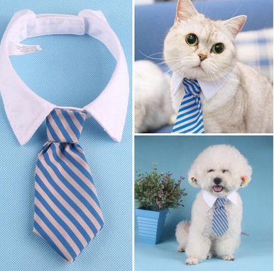 Dog Bow Ties for Puppies and DogsDog Bow Ties For The Epitome of Pet Fashion!
Calling all pet lovers and enthusiasts! Prepare to be dazzled by the epitome of pet fashion. At our Ecom pet products shdog clothesShopDoggieworksShopDoggieworksDog Bow Ties