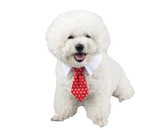 Dog Bow Ties for Puppies and DogsDog Bow Ties For The Epitome of Pet Fashion!
Calling all pet lovers and enthusiasts! Prepare to be dazzled by the epitome of pet fashion. At our Ecom pet products shdog clothesShopDoggieworksShopDoggieworksDog Bow Ties