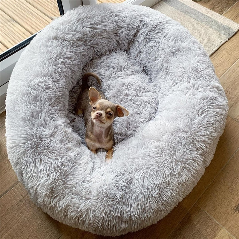 Luxury Machine Washable Dog Beds
Machine Washable Dog Beds For Sale
The Machine Washable Dog Beds with Slip-Resistant Bottom is perfect for keeping your furry friend comfortable while also protectiRound Dog BedShopDoggieworksShopDoggieworksLuxury Machine Washable Dog Beds