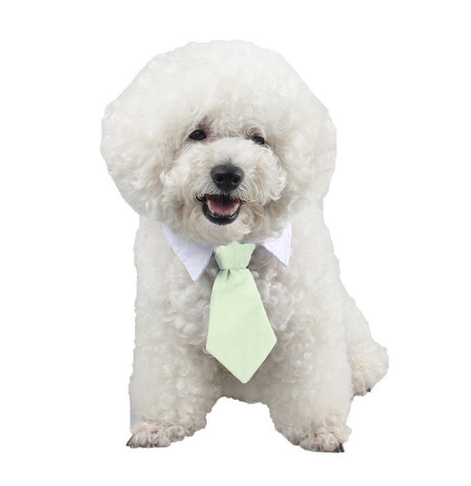 Dog Bow Ties for Puppies and DogsDog Bow Ties For The Epitome of Pet Fashion!
Calling all pet lovers and enthusiasts! Prepare to be dazzled by the epitome of pet fashion. At our Ecom pet products shdog clothesShopDoggieworksShopDoggieworksDog Bow Ties