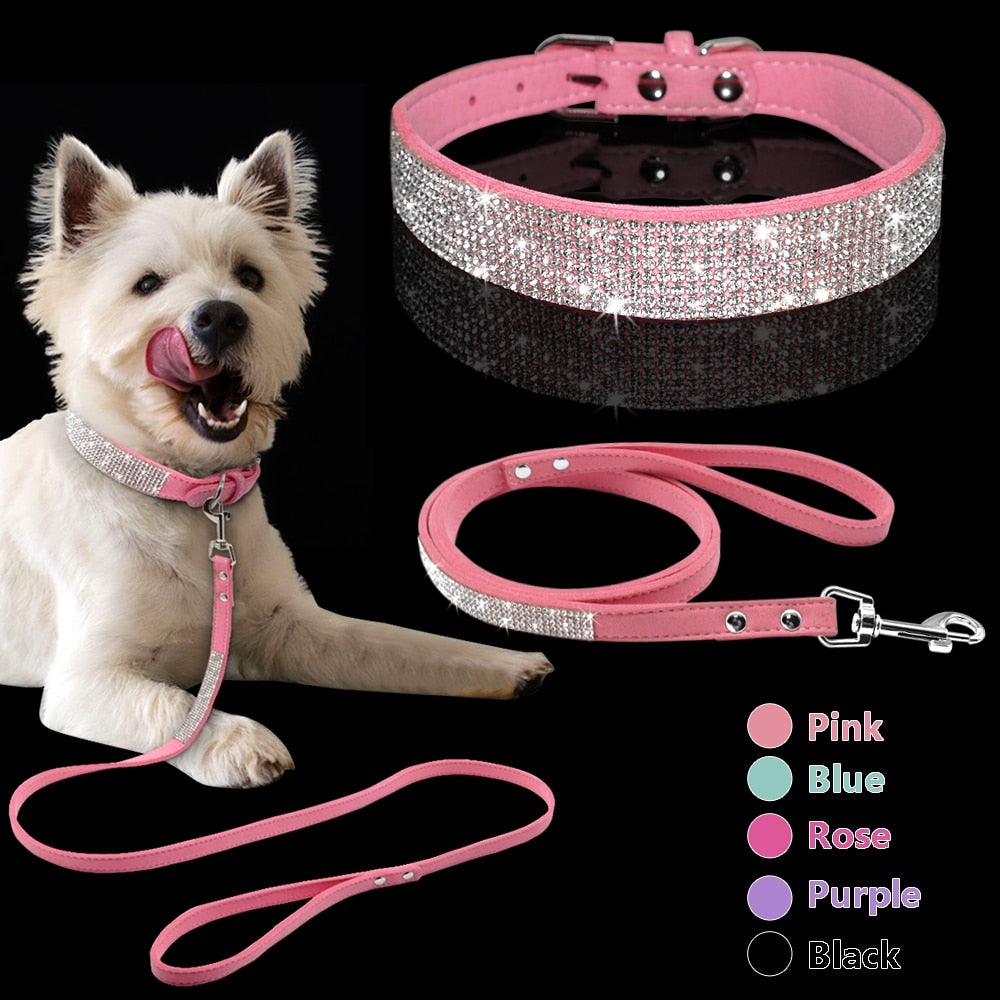 Dog Collars and Leashes
Dog Training Collars And Leashes
What are the best dog collars and leashes?




The best collar and leash for your dog will depend on a number of factors, includingShopDoggieworksShopDoggieworksDog Collars