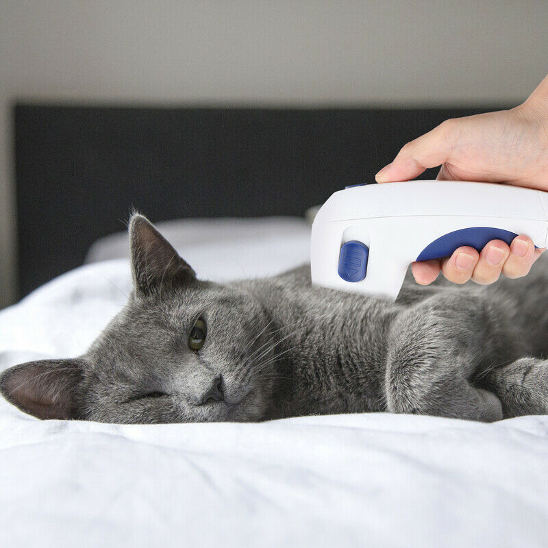 Pet Electric Flea CombBest Electronic Flea Combs For Cats and Dogs
Electronic flea combs for Dogs are innovative devices that help remove fleas from our beloved cats that produce a harmleelectric flea combShopDoggieworksShopDoggieworksPet Electric Flea Comb