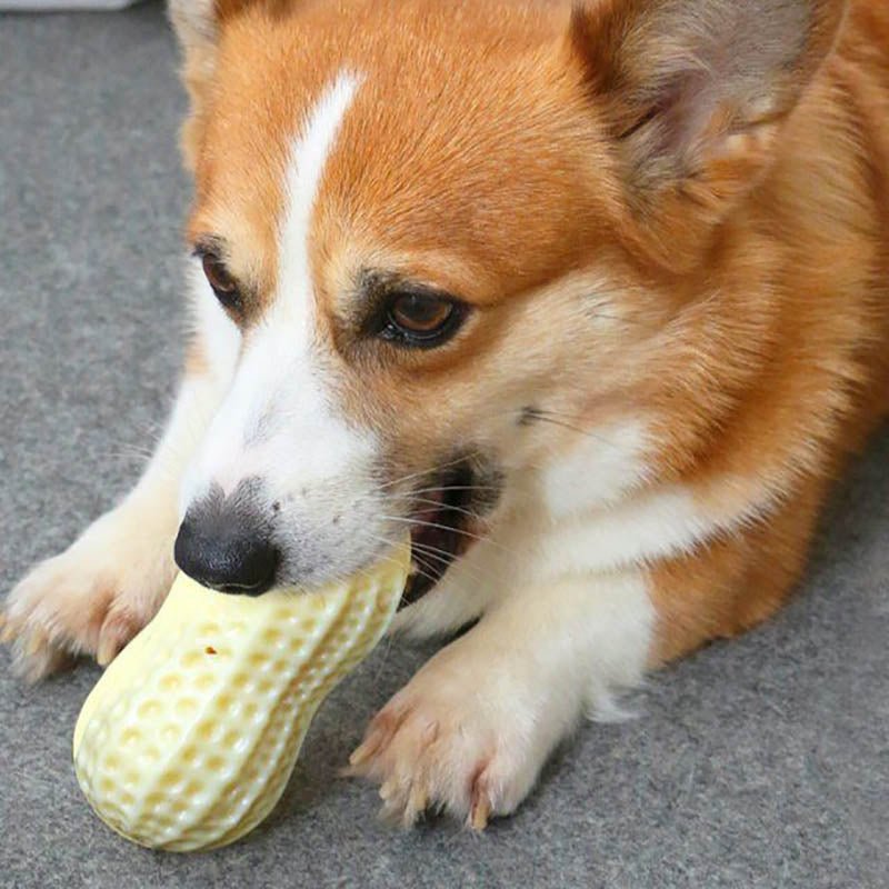 Dog Peanut Butter Toy | Peanut Butter Flavored Dog ToysDog Peanut Butter Toy | Dog Chew Toy
Calling all peanut butter lovers! Our Dog Peanut Butter Toy allergen-free peanut butter flavor throughout to keeps dogs entertaiDog ToysShopDoggieworksShopDoggieworksPeanut Butter Flavored Dog Toys