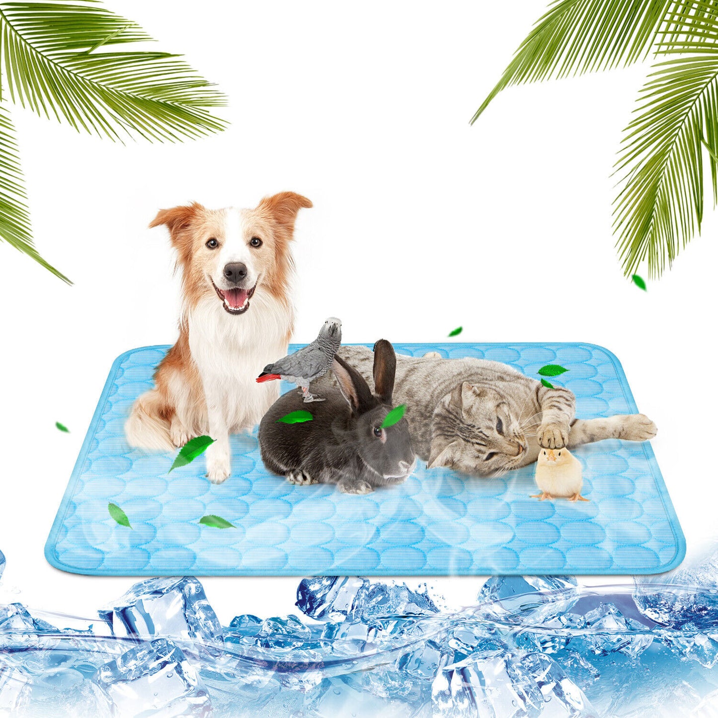 Best Quality Dog Cooling Pad at cheap price