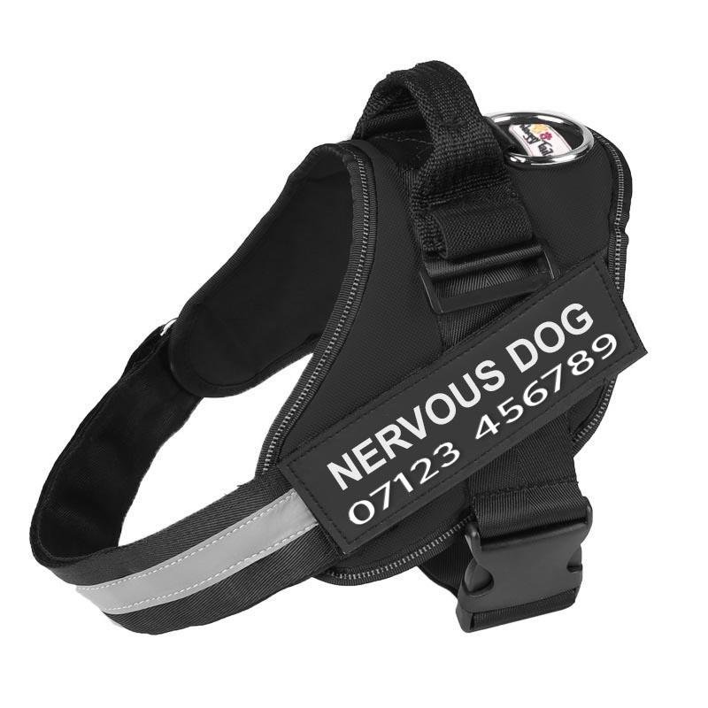 Personalized No Pull Dog Harness