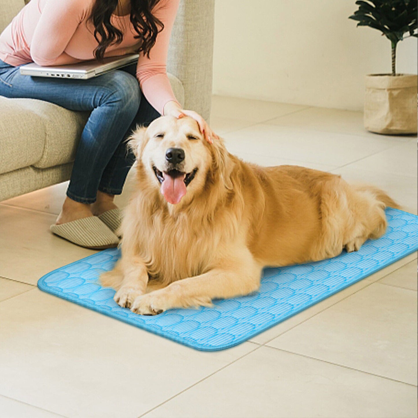 Dog Cooling Pad